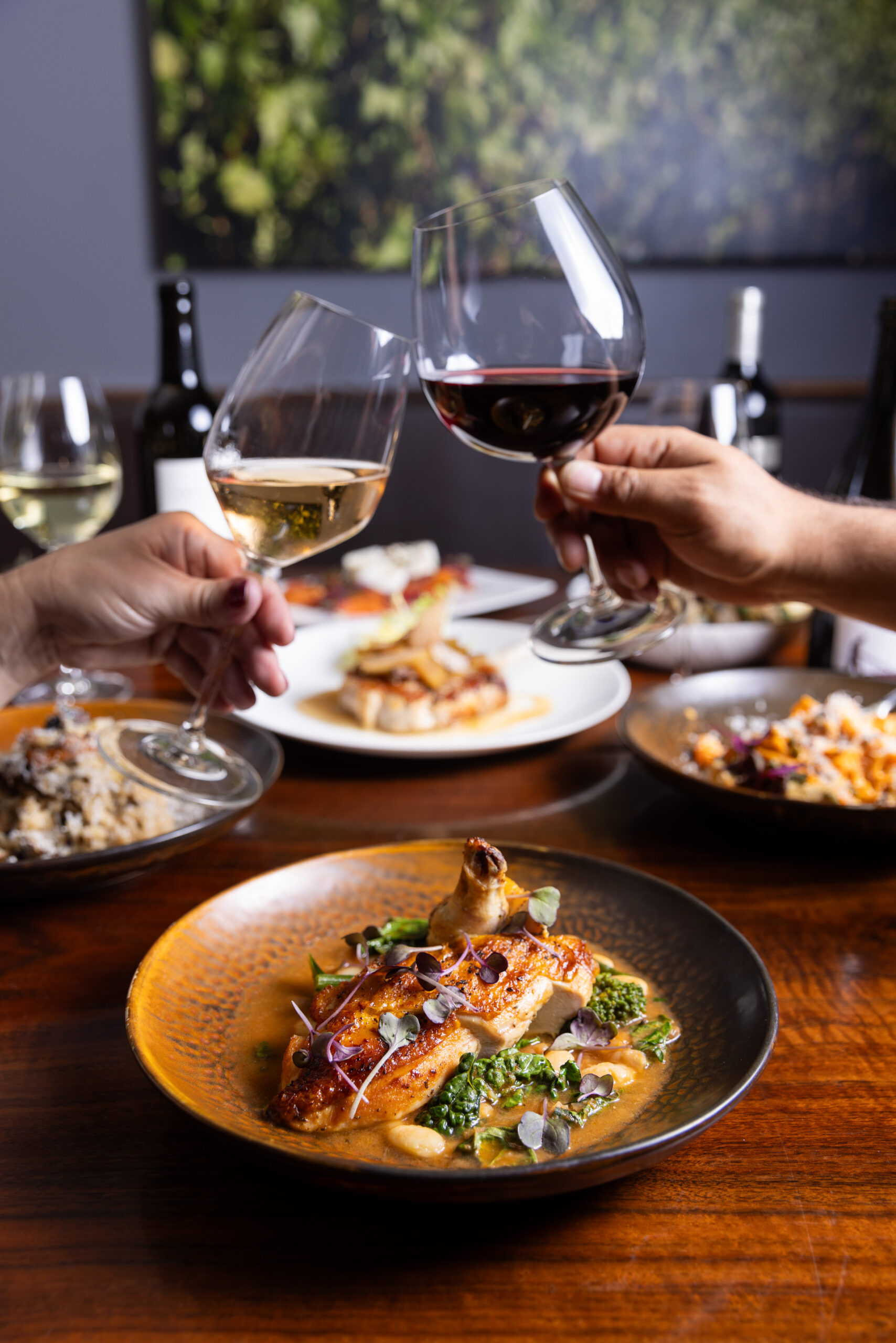 DR5C0703_HiRes_ copy